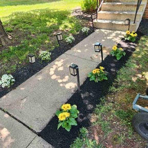 Flower Planting by  reviewed on June 28, 2025