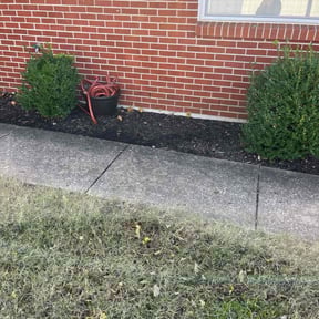 Flower Bed Weeding by Cleancut Landscaping reviewed on November 23, 2025