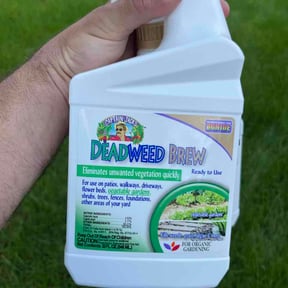 Flower Bed Weeding by NJ percision landscaping reviewed on August 27, 2026