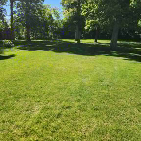 yard service by UNCLECURTS LLC reviewed on August 19, 2025