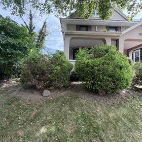 Bush Trimming by A Better Lawncare reviewed on June 23, 2026