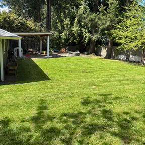 yard work by Vertical Lawn Care reviewed on August 14, 2025