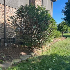 lawn care services by AMG Outdoor Services LLC reviewed on August 7, 2025