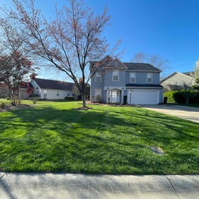 landscaping by Ridgewood Landscape Management llc. reviewed on November 24, 2025