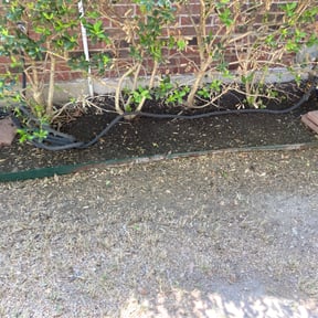 grass cutting by alexandrinoshomeandlawnservice reviewed on May 3, 2025