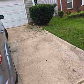 Bush Trimming by Green Oasis Lawn Care reviewed on October 18, 2025