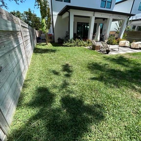 yard work by Project&#039;s Empire LLC reviewed on October 20, 2025