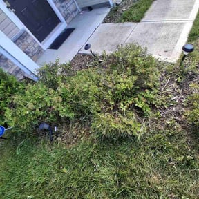 Bush Trimming by Harmon's Hardscapes &amp;Lawncare reviewed on July 31, 2026