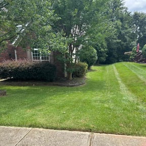 yard care by AJR Lawn Care reviewed on August 15, 2025