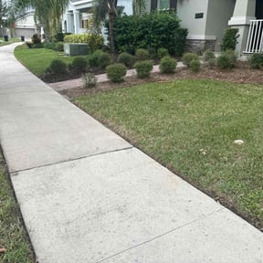 lawn care services by Ariana Lawn Care reviewed on October 19, 2023