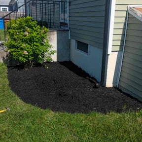 Mulching by Courrier Lawn Co. reviewed on July 7, 2025