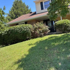 Bush Trimming by M.A.C &amp; Utilities llc. reviewed on October 19, 2025