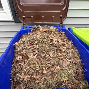 Leaf Removal by Legacy Lawn Services reviewed on May 24, 2026