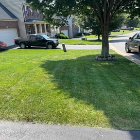 landscaping by Kane &amp; Associates, LLC. reviewed on November 20, 2025