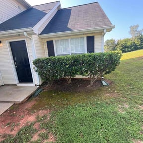 Bush Trimming by DigonThis Lawncare reviewed on December 17, 2025