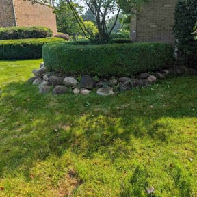 Bush Trimming by Wood's Landscaping reviewed on August 12, 2025