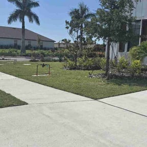 yard care by Jose Martinez Landscape Services reviewed on June 30, 2022