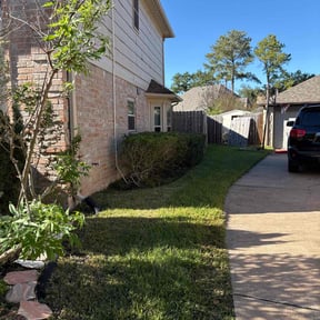 Bush Trimming by Edgewater landscape reviewed on May 24, 2026