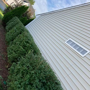 Bush Trimming by Just us landscaping LLC reviewed on August 15, 2025