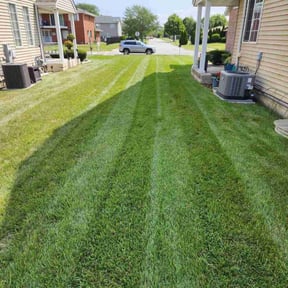 landscape maintenance by PICKNEY FULL SERVICE reviewed on August 15, 2025