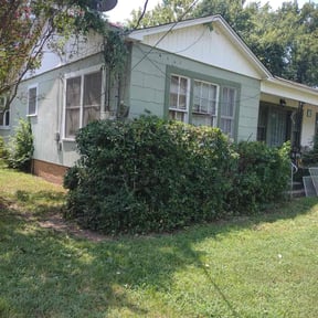 Bush Trimming by Top Notch Lawn &amp; Landscaping, LLC reviewed on March 19, 2024