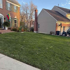 Bush Trimming by Goodfellas reviewed on July 17, 2020