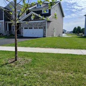 yard service by Cameron's Home and Power Wash reviewed on May 2, 2023