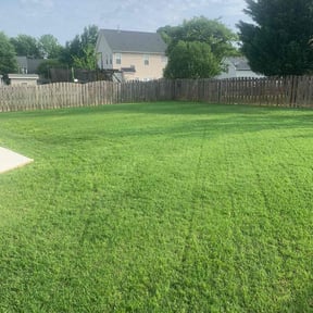 landscaping by JD HARDSCAPES &amp; LANDSCAPING LLC reviewed on November 24, 2025