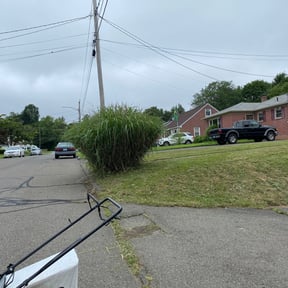 Bush Trimming by Space Coast Landscaping LLC reviewed on August 21, 2025
