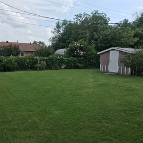 residential landscaping by Anthony&#039;s Lawn and Maintenance reviewed on November 24, 2025