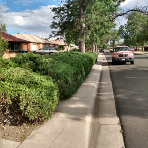 Bush Trimming by LoneStar Mow Pros reviewed on August 21, 2025