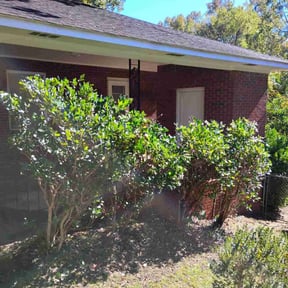 Bush Trimming by Douglas Lawn and Services LLC reviewed on November 9, 2025