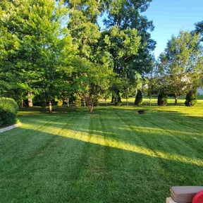 landscaping services by AP Analytics reviewed on December 3, 2025