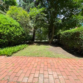 Leaf Removal by Marvel scapes reviewed on July 22, 2026
