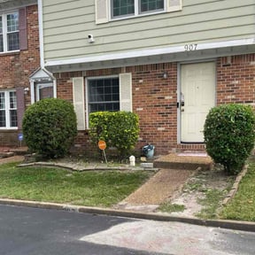 Bush Trimming by Magnificent art trimming &amp; rendering yards reviewed on October 22, 2025