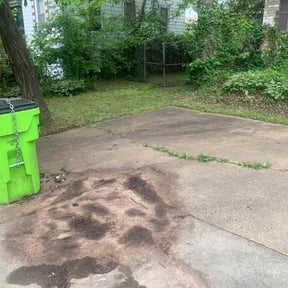 Leaf Removal by Paradise Lawn Service reviewed on May 21, 2025