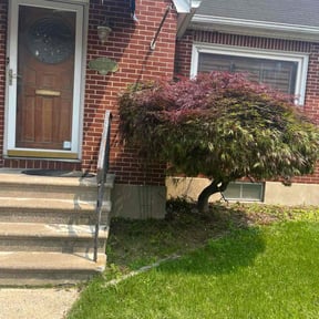 Bush Trimming by A&Js Landscaping and Design LLC reviewed on August 15, 2025