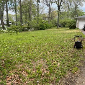 Bush Trimming by Lawn and Order LLC reviewed on June 18, 2026