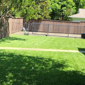 Bush Trimming by All Quality Lawn LLC. reviewed on August 13, 2021