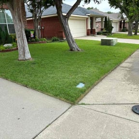 yard maintenance by Richard's lawn care services reviewed on November 24, 2025