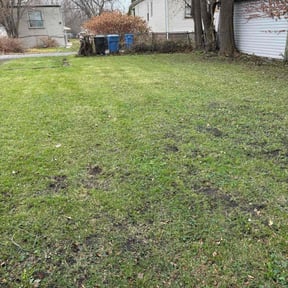 Leaf Removal by bena farms llc reviewed on April 10, 2026