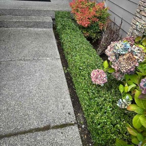 Bush Trimming by Esqkuire Lawncare/Snow removal reviewed on November 20, 2025