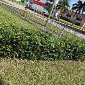 Bush Trimming by D&amp;D Lawn Service reviewed on October 22, 2025