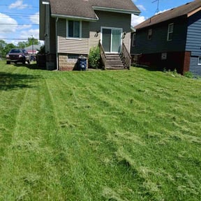 lawn service by Carter's Lawn Care  reviewed on October 12, 2023