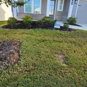 Flower Bed Weeding by M&amp;M Lansdcaping reviewed on October 20, 2025