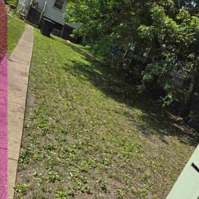 Bush Trimming by Rivera and Son&#039;s Services reviewed on October 23, 2025