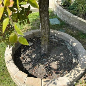 Flower Bed Weeding by Legacy Lawn care reviewed on November 23, 2025