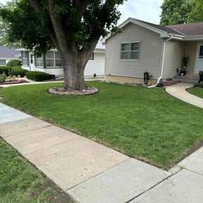landscaping services by Daniel campos reviewed on August 15, 2025