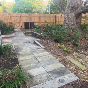 Leaf Removal by D&s reviewed on August 19, 2025