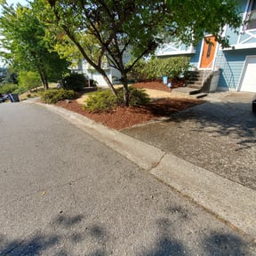 Leaf Removal by Ballard Professional Services reviewed on September 27, 2025